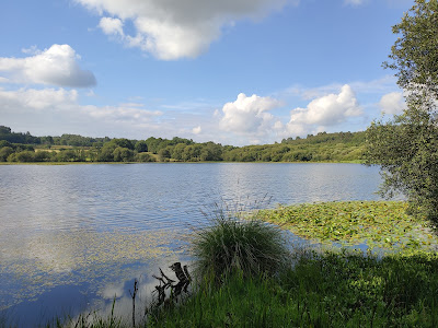 Lagoa de Sobrado dos Monxes