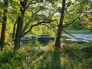 McCulloch Family Open Space