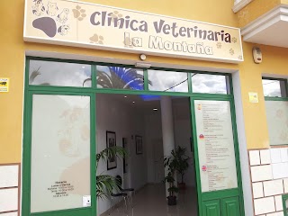 Clinica Veterinaria La Montaña