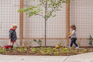 The Children's Garden