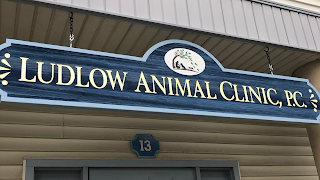 Ludlow Animal Clinic, P.C.