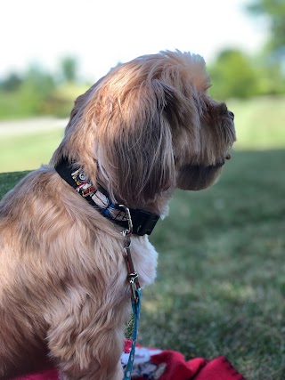 Conneaut Creek Veterinary Clinic