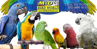 M&D Bird World Exotic Birds