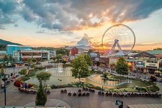 Margaritaville Island Hotel - Pigeon Forge