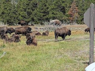 Jackson Hole EcoTour Adventures