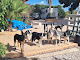 Foto de La casa canina (Adiestramiento canino) - De Palaos, 21, la Romana, Alicante, España