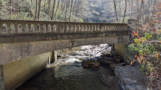 Moore Cove Falls Trail