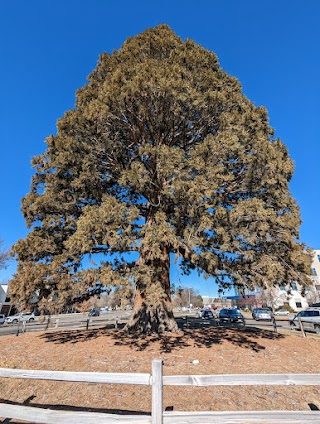 Fort Boise Park