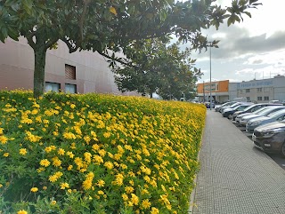 Concello de Ferrol Parque de Servicios