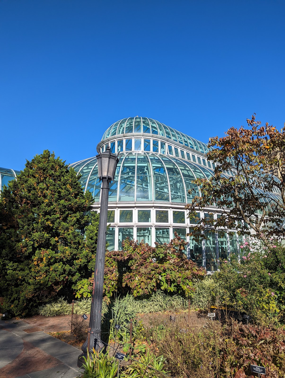 Brooklyn Botanic Garden