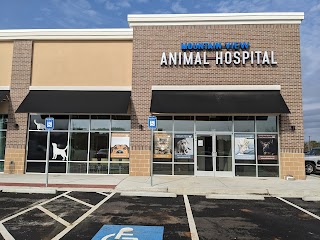 Mountain View Animal Hospital