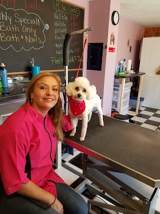 Happy Tails, Pet Grooming Salon and Hotel