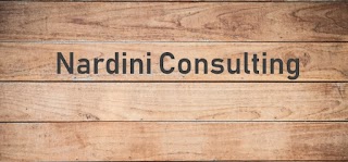 Nardini Consulting LLC