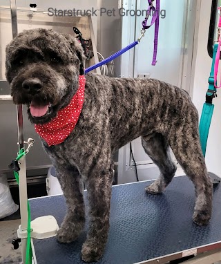 Starstruck Pet Grooming LLC