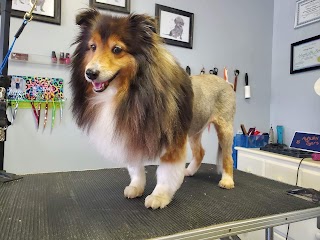 DK Pet Salon