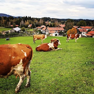 Gästehaus am Josl-Hof