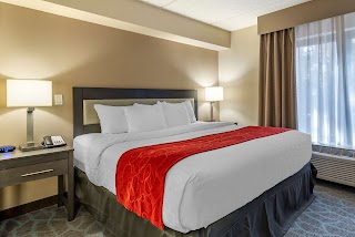 Comfort Suites Alpharetta/Roswell - Atlanta Area