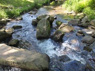 Moravian Falls