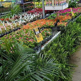 Garden Center at The Home Depot