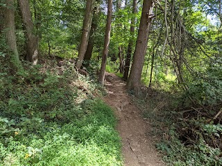 Harmony Hill Nature Area