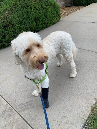 Lone Tree Veterinary Medical Center