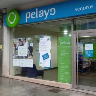 Oficina Seguros Pelayo