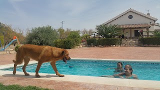 Cortijo La Cabaña