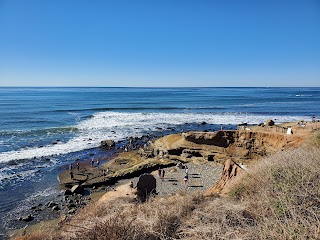 Point Loma Tide Pools