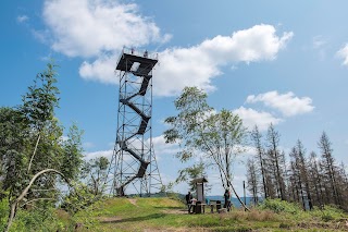 Carl-Alexander-Turm