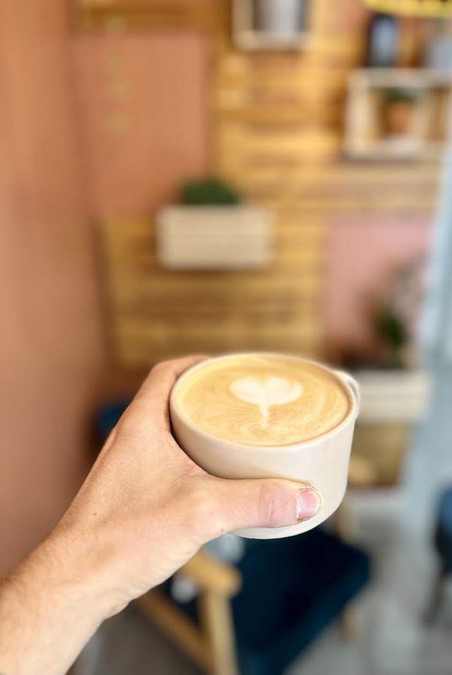 Du grain à la tasse