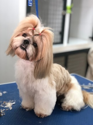 Gran Can Centro de Estética y Peluquería Canina