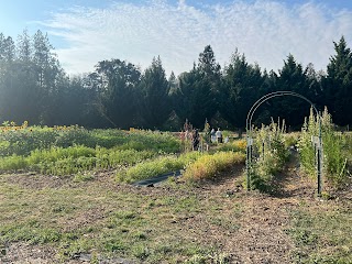 Electric Gardens Flower Farm