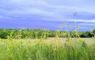 Prairie Center