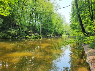 Selmier State Forest