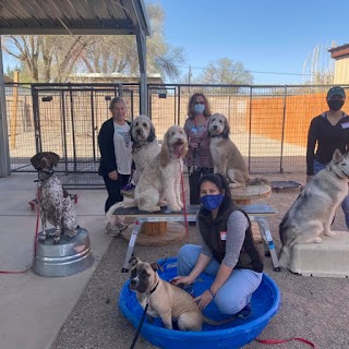 Sit Means Sit Dog Training Albuquerque