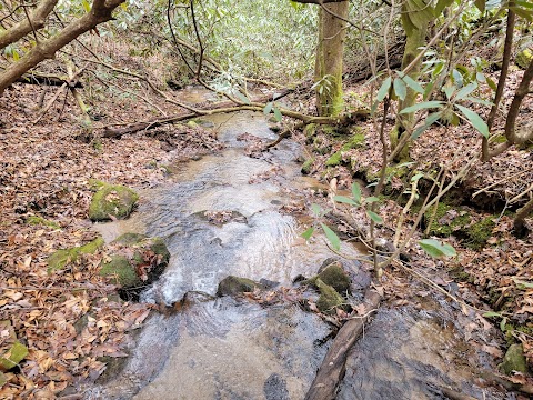 Black Rock Mountain State Park