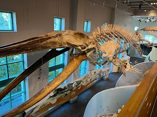 North Carolina Museum of Natural Sciences