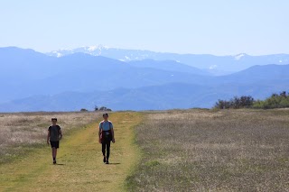 Rogue Valley Educational Services: Nature Kids Academy