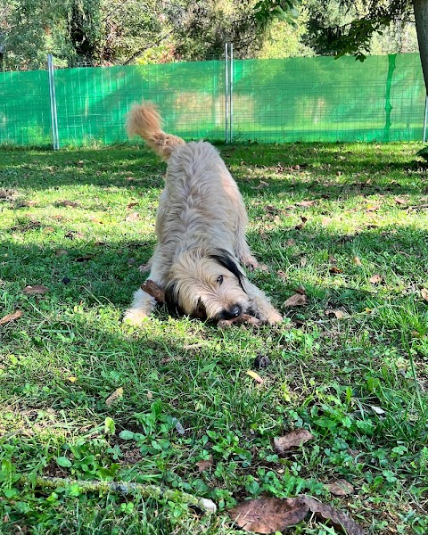 Happy Dog Park