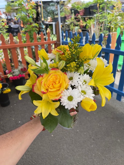 Stadium Flowers & Gifts