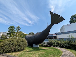 The Children's Museum