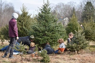 Timber Valley Tree Farm