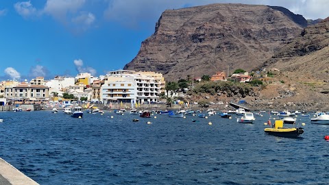 Observación de Aves en la Playa de Vueltas