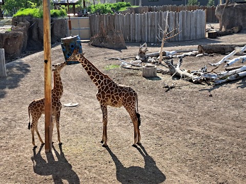 Utah's Hogle Zoo