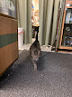Photo of Trophy Center - 1175 West North Street, Lima, OH 45805, USA