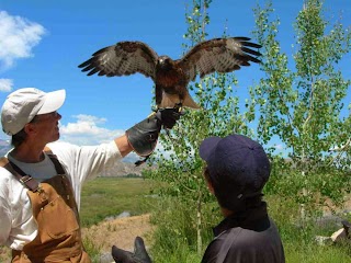 Teton Raptor Center