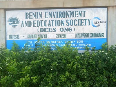 photo of BEES-ONG