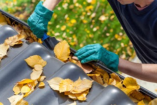 Fassadenreinigung in Oldenburg I EscapeGreen