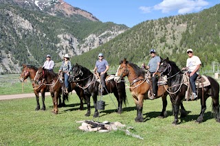 Willow Creek Horseback Rides