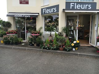 Adonis Fleurs, Artisan Fleuriste